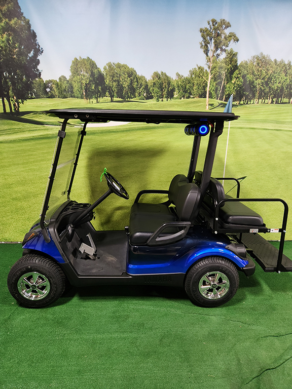 2013 Blue and Black Golf Car
