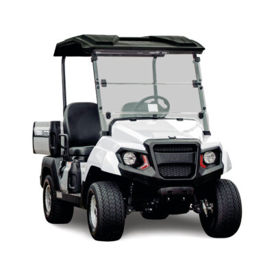 2024 Yamaha UMAX Rally Glacier White Utility Vehicle
