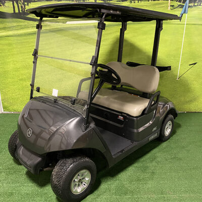 2021 Carbon Metallic Electric Golf Car