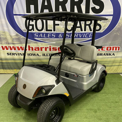 2023 Moonstone Metallic Electric Golf Car