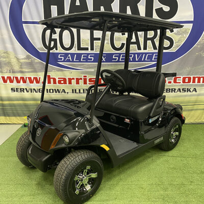 2024 Onyx Metallic Electric Golf Car