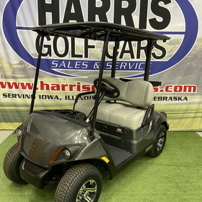 2025 Carbon Metallic Electric Golf Car